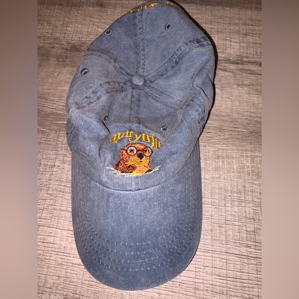 Harry Potter otter denim baseball hat